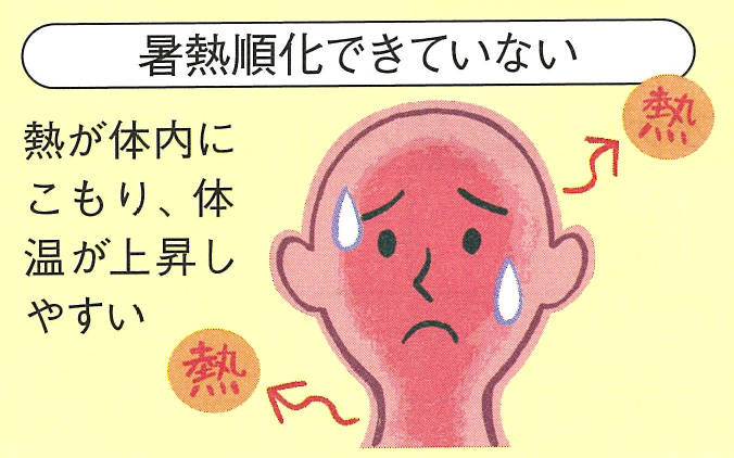 暑熱順化できてない