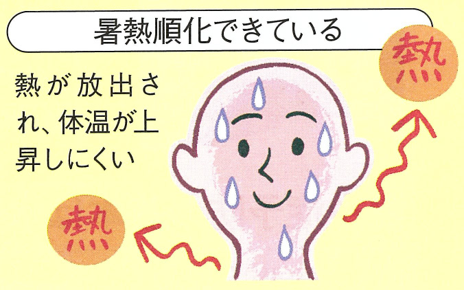 暑熱順化できている