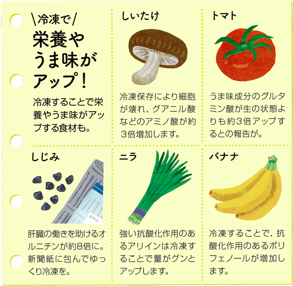 冷凍で栄養やうま味がアップ!