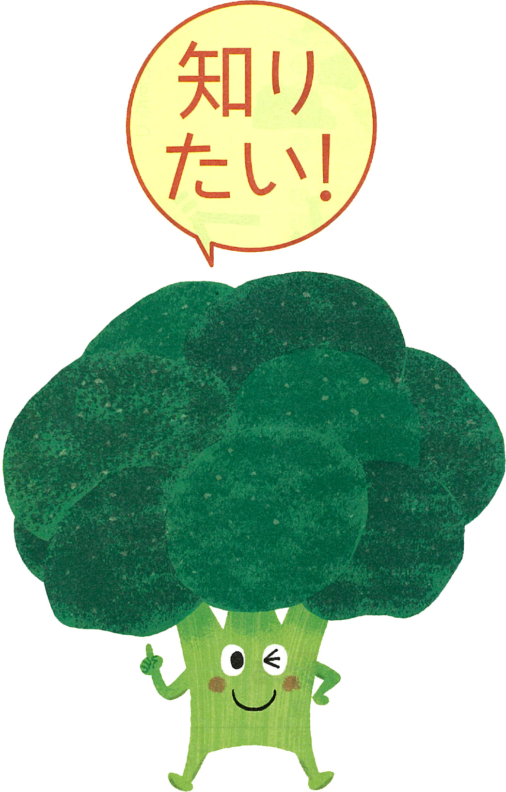 知りたい!