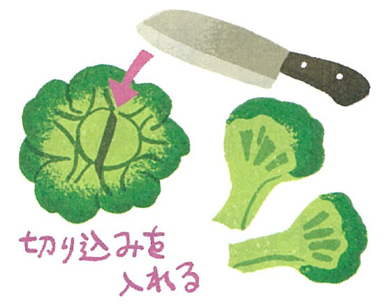 切り込みを入れる